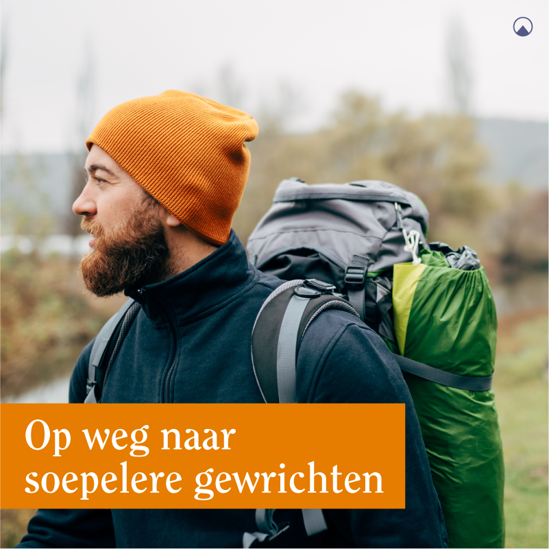 Minami Omega-3 supplementen voor soepele gewrichten